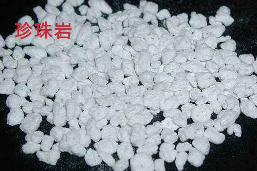 珍珠巖物料圖 珍珠巖物料圖